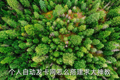 自助搭建發(fā)卡網(wǎng)，有沒(méi)有大神幫忙搭建一個(gè)個(gè)人發(fā)卡平臺(tái)