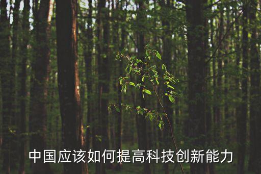 中國應(yīng)該如何提高科技創(chuàng)新能力