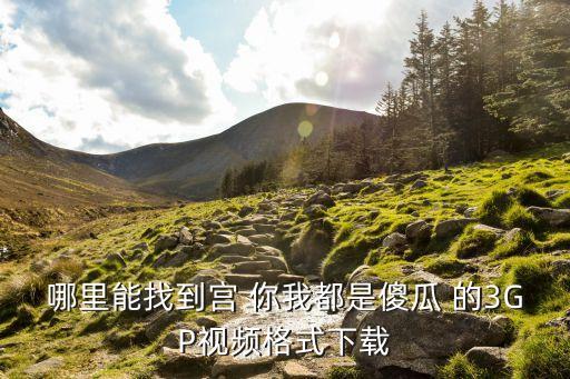哪里能找到宮 你我都是傻瓜 的3GP視頻格式下載
