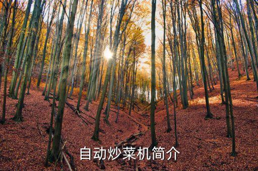 自動炒菜機簡介