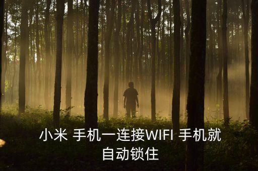 小米手機(jī)自動上鎖,如何鎖定小米手機(jī)?