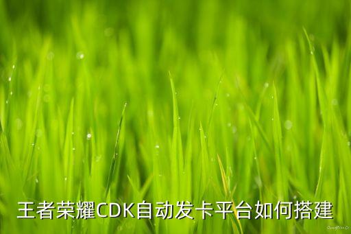 王者榮耀CDK自動(dòng)發(fā)卡平臺(tái)如何搭建