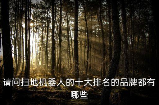 請問掃地機器人的十大排名的品牌都有哪些