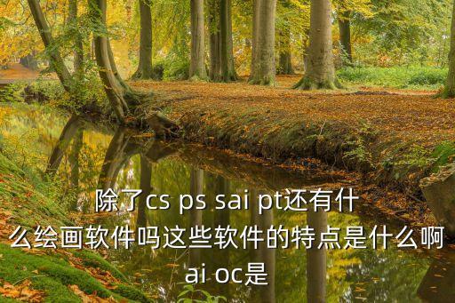 除了cs ps sai pt還有什么繪畫軟件嗎這些軟件的特點(diǎn)是什么啊ai oc是
