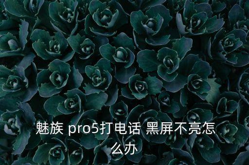  魅族 pro5打電話 黑屏不亮怎么辦
