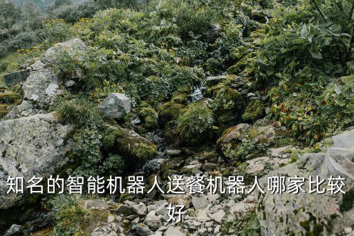 知名的智能機器人送餐機器人哪家比較好