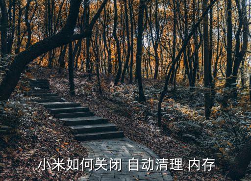  小米如何關(guān)閉 自動(dòng)清理 內(nèi)存