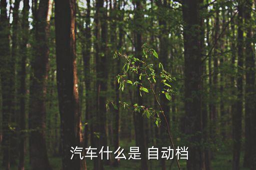自動汽車叫什么,自動block車從零開始學(xué)起!