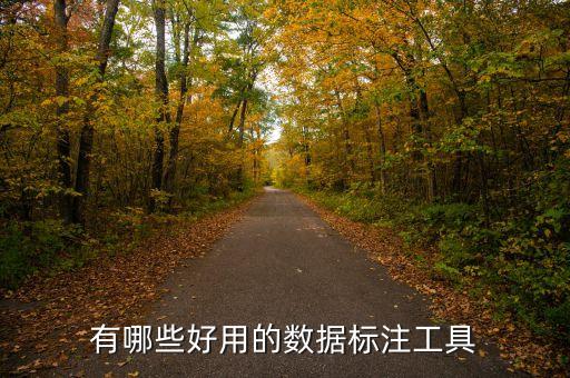 有哪些好用的數(shù)據(jù)標注工具