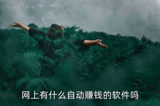 網(wǎng)上有什么自動(dòng)賺錢的軟件嗎