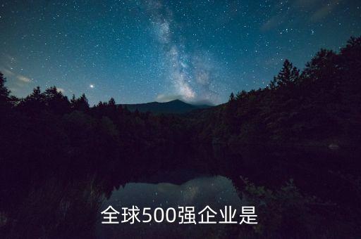 全球500強(qiáng)企業(yè)是