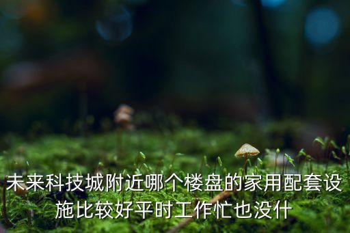 未來(lái)科技城附近哪個(gè)樓盤(pán)的家用配套設(shè)施比較好平時(shí)工作忙也沒(méi)什