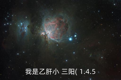 我是乙肝小 三陽( 1.4.5