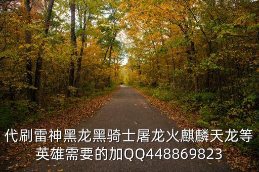 代刷雷神黑龍黑騎士屠龍火麒麟天龍等英雄需要的加QQ448869823