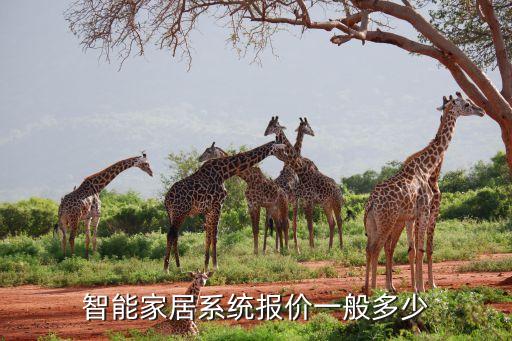 家裝智能化系統(tǒng)需要多少錢，哪位能告訴我智能化裝修要多少錢