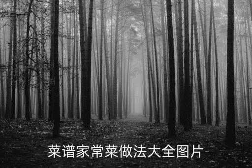 菜譜家常菜做法大全圖片