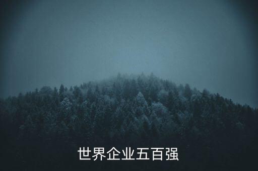 世界企業(yè)五百?gòu)?qiáng)