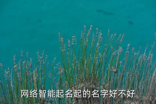 網(wǎng)絡(luò)智能起名起的名字好不好