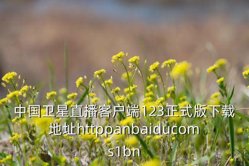 中國衛(wèi)星直播客戶端123正式版下載地址httppanbaiducoms1bn