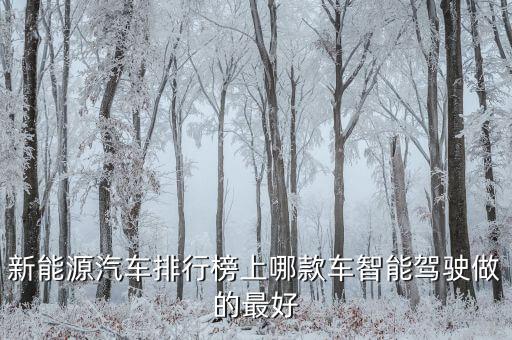 哪些車有自動駕駛功能較好，哪些車可以自動駕駛