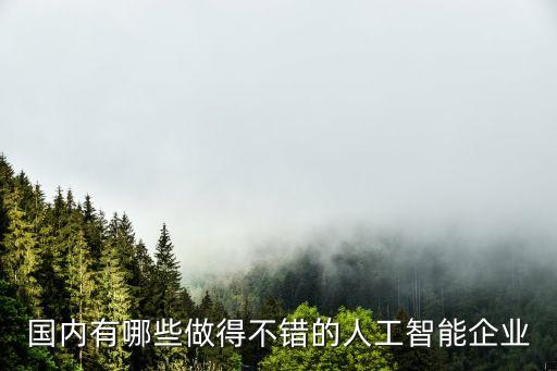 中國哪家公司人工智能比較厲害，國內(nèi)都哪些比較牛的人工智能公司