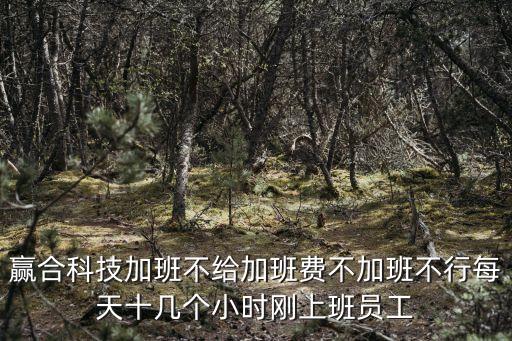 贏合科技加班不給加班費不加班不行每天十幾個小時剛上班員工