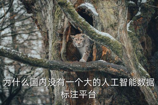 為什么國內(nèi)沒有一個大的人工智能數(shù)據(jù)標(biāo)注平臺