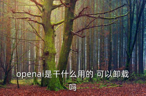 openai是干什么用的 可以卸載嗎