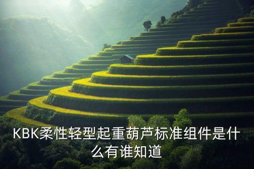 KBK柔性輕型起重葫蘆標準組件是什么有誰知道