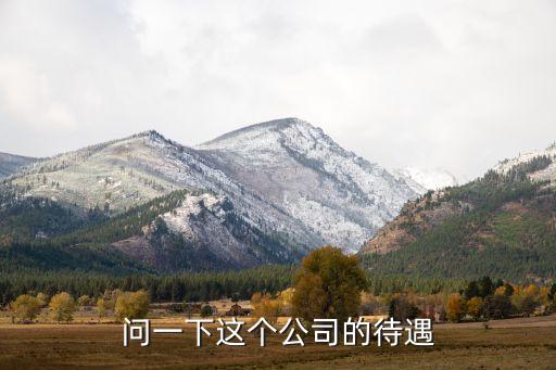問一下這個(gè)公司的待遇