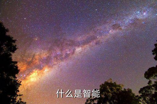 什么是智能