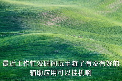 最近工作忙沒時間玩手游了有沒有好的輔助應(yīng)用可以掛機(jī)啊