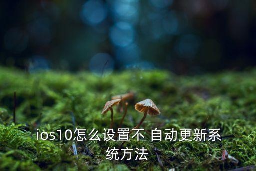  ios10怎么設置不 自動更新系統(tǒng)方法