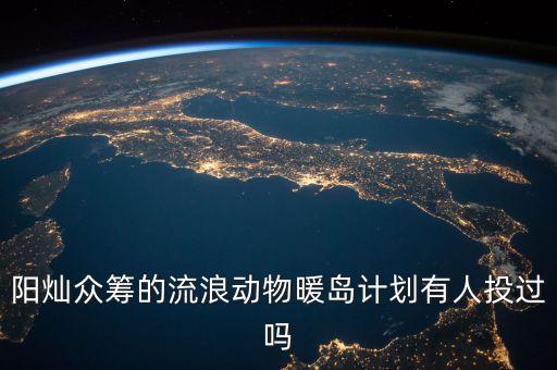 陽(yáng)燦眾籌的流浪動(dòng)物暖島計(jì)劃有人投過(guò)嗎
