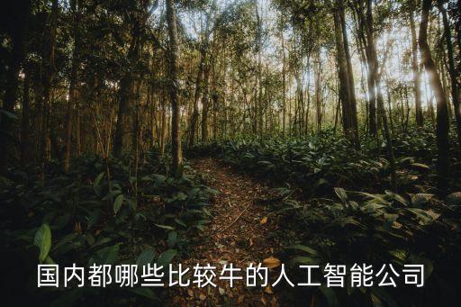 國內(nèi)都哪些比較牛的人工智能公司