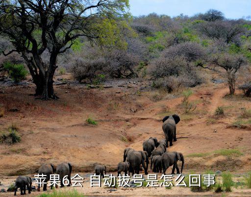蘋(píng)果6會(huì) 自動(dòng)拔號(hào)是怎么回事