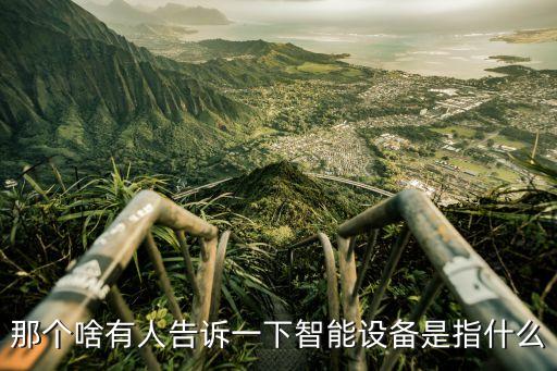 那個(gè)啥有人告訴一下智能設(shè)備是指什么
