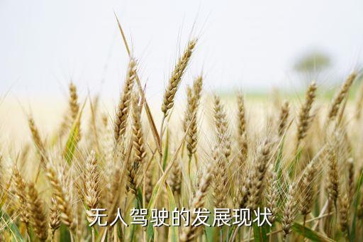無人駕駛的發(fā)展現(xiàn)狀