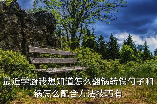 最近學廚我想知道怎么翻鍋轉鍋勺子和鍋怎么配合方法技巧有