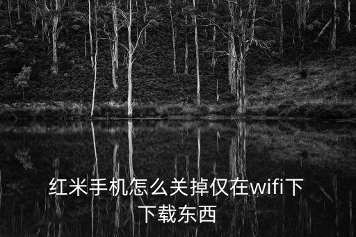 紅米手機(jī)怎么關(guān)掉僅在wifi下 下載東西