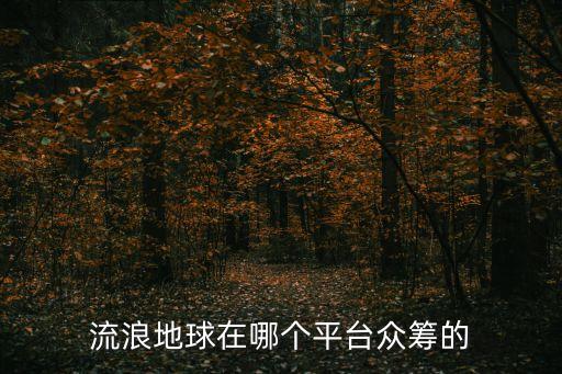 流浪地球在哪個平臺眾籌的
