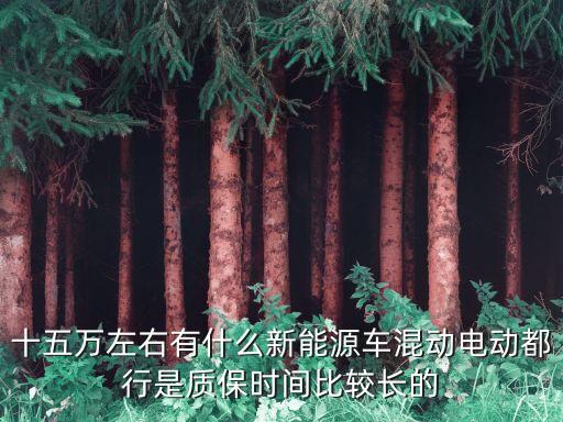 十五萬(wàn)左右有什么新能源車(chē)混動(dòng)電動(dòng)都行是質(zhì)保時(shí)間比較長(zhǎng)的