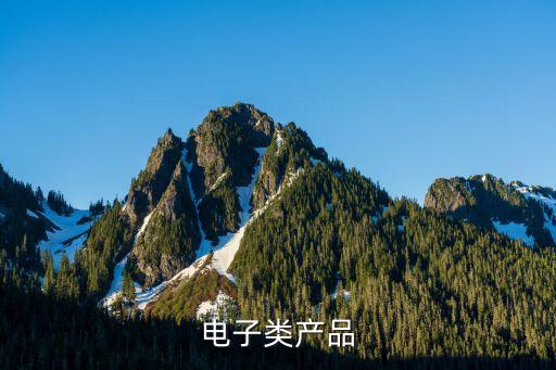 電子類產(chǎn)品