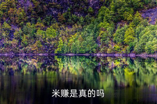 米賺靠譜嗎，有個(gè)軟件叫做米賺他靠譜嗎
