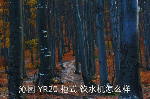 沁園 YR20 柜式 飲水機怎么樣