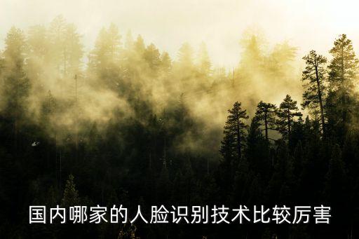 國(guó)內(nèi)哪家的人臉識(shí)別技術(shù)比較厲害