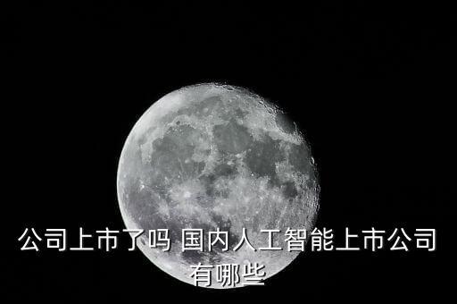 公司上市了嗎 國內(nèi)人工智能上市公司有哪些
