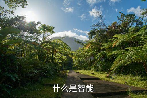 目前智能的定義已經(jīng)明確，關(guān)于智能手機(jī)智能的定義