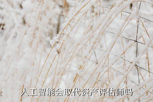 人工智能會(huì)取代資產(chǎn)評(píng)估師嗎