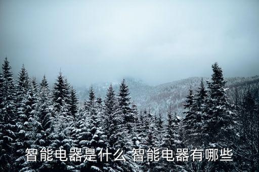 智能電器是什么 智能電器有哪些